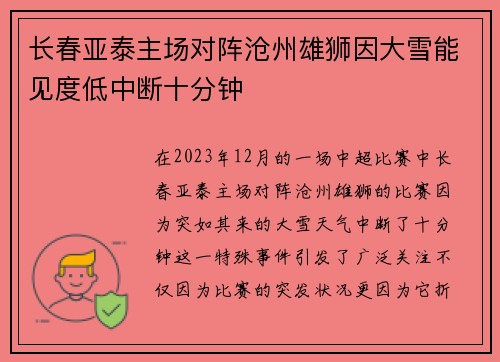 长春亚泰主场对阵沧州雄狮因大雪能见度低中断十分钟